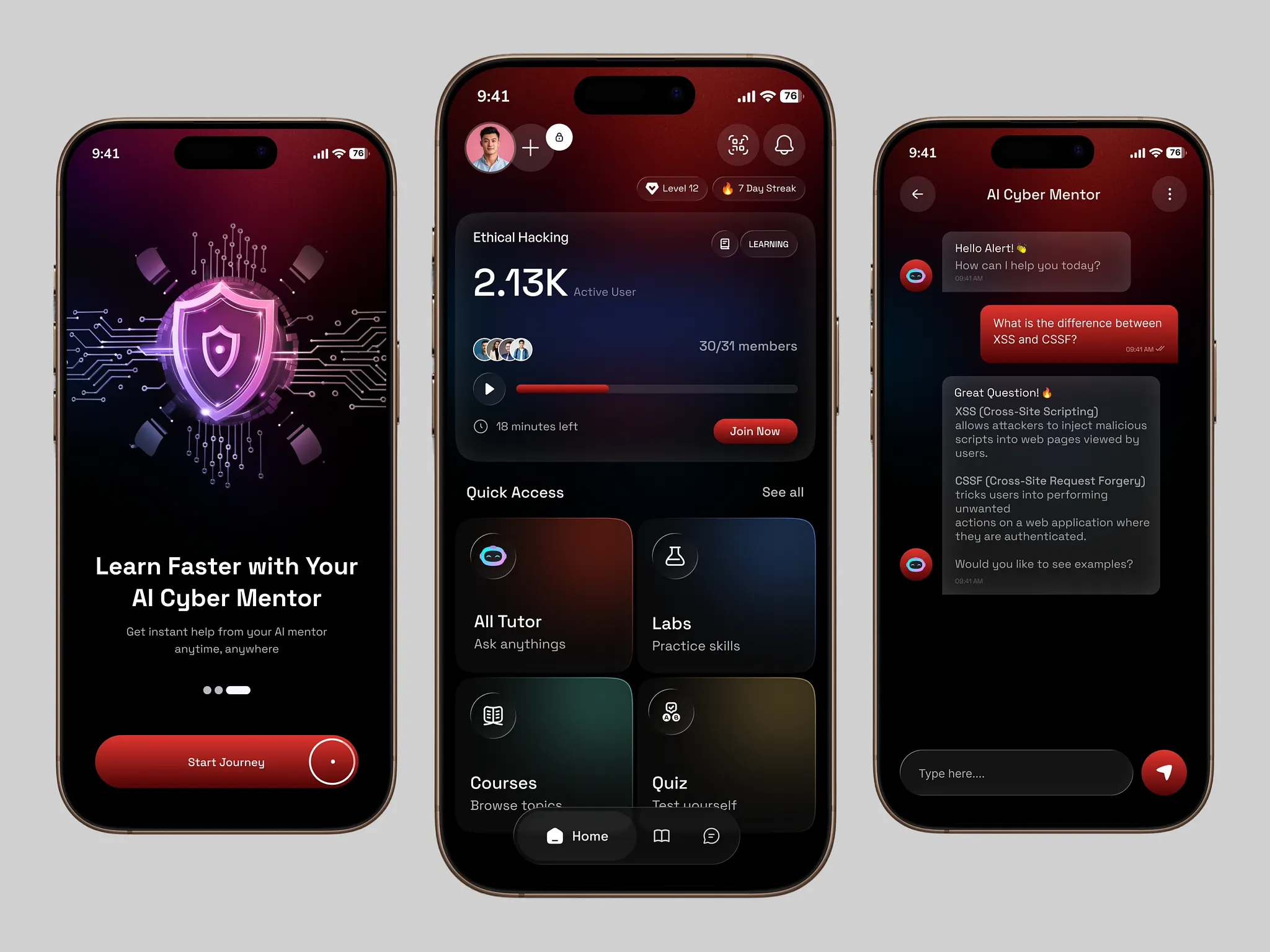 icodegems UI UX design project preview